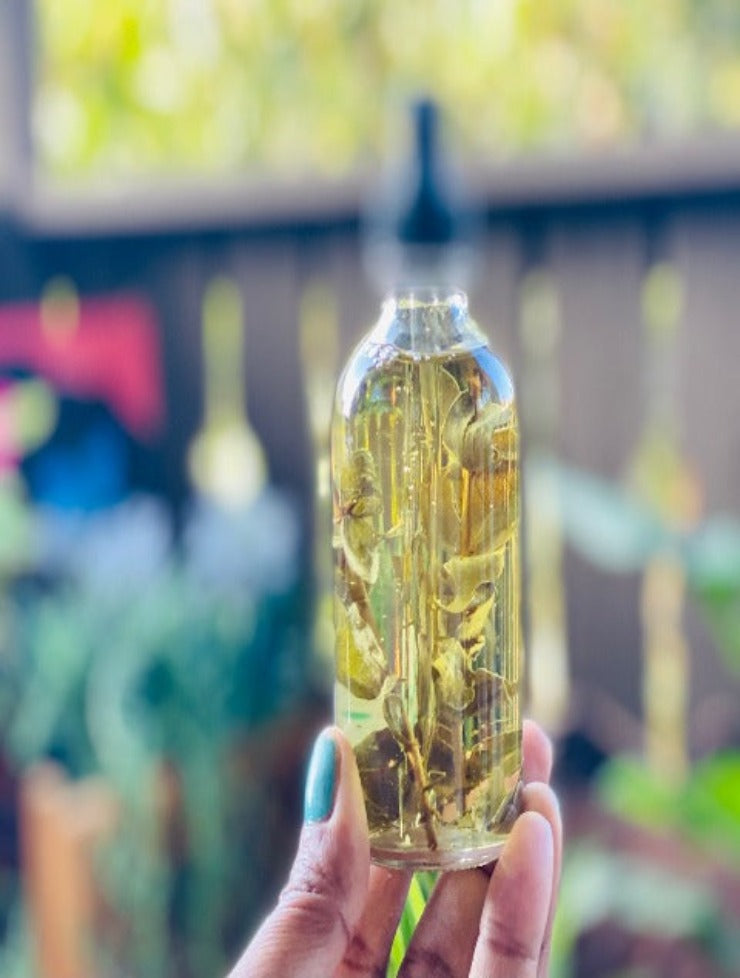 Infused Organic Eucalyptus Oil