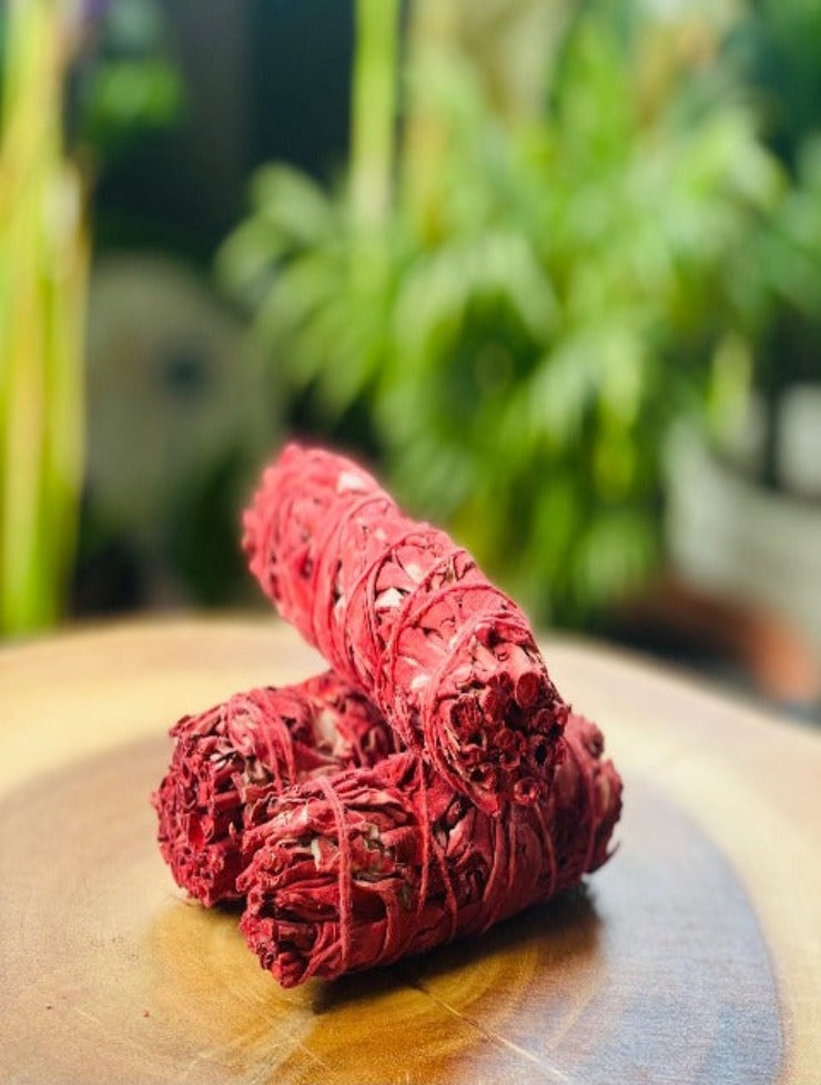 Dragon Blood Sage ( 4 Inch )