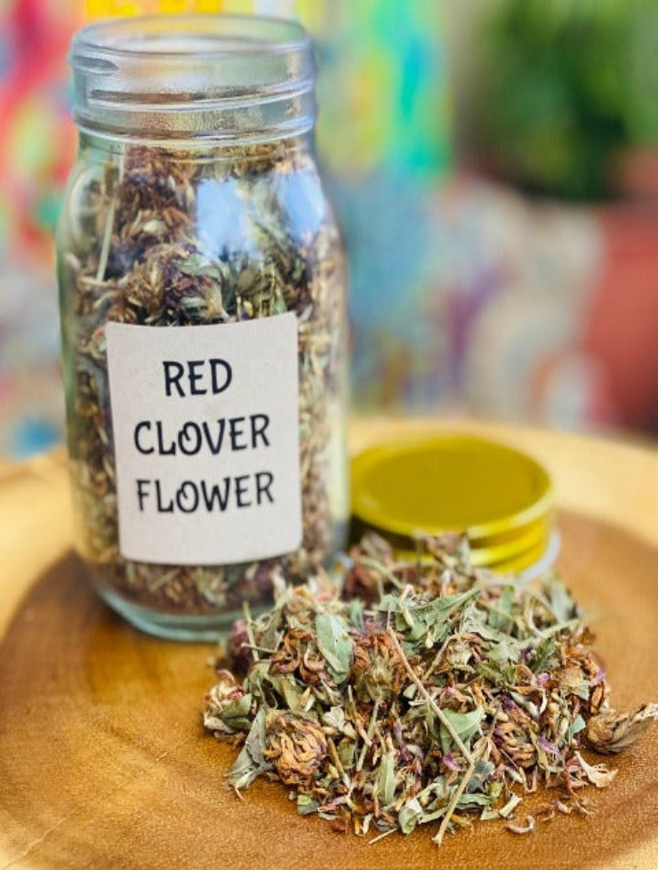 Red Clover Flower Organic Herbal Tea