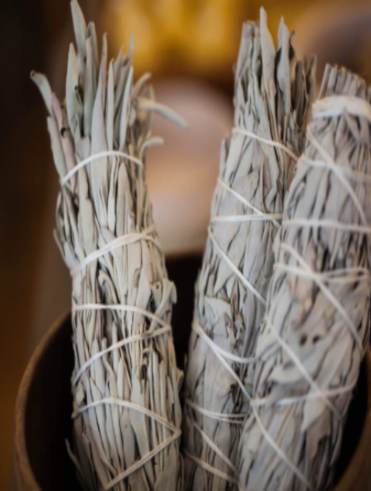 Organic White Sage ( 4 Inch )